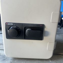 Sentry Fire Safe