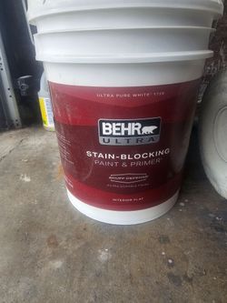 Behr Interior Paint