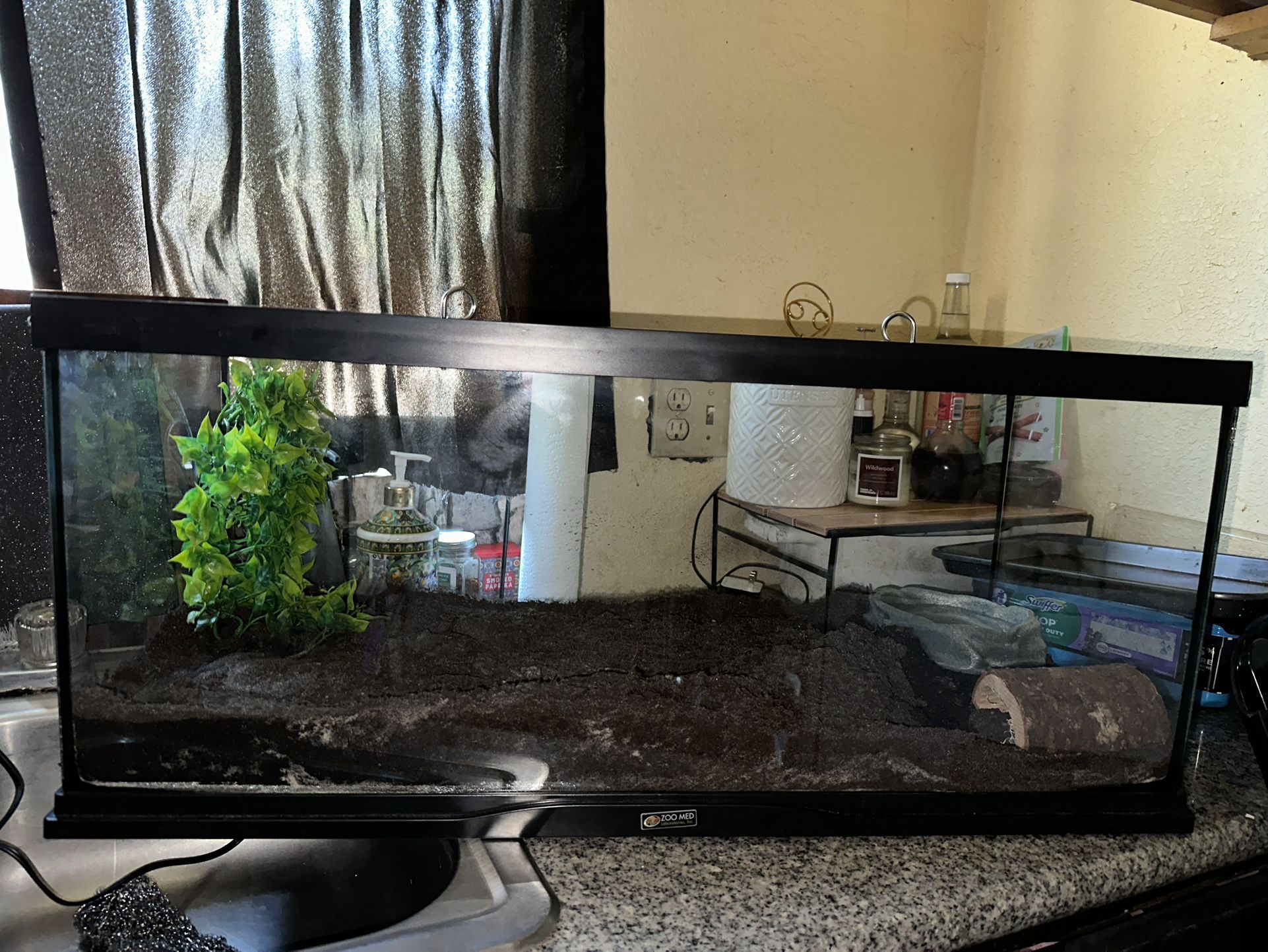 20 Gallon Snake Set Up 