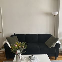 Black Sofa Velvet 