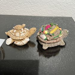  BothTurtle 🐢 Decoration 