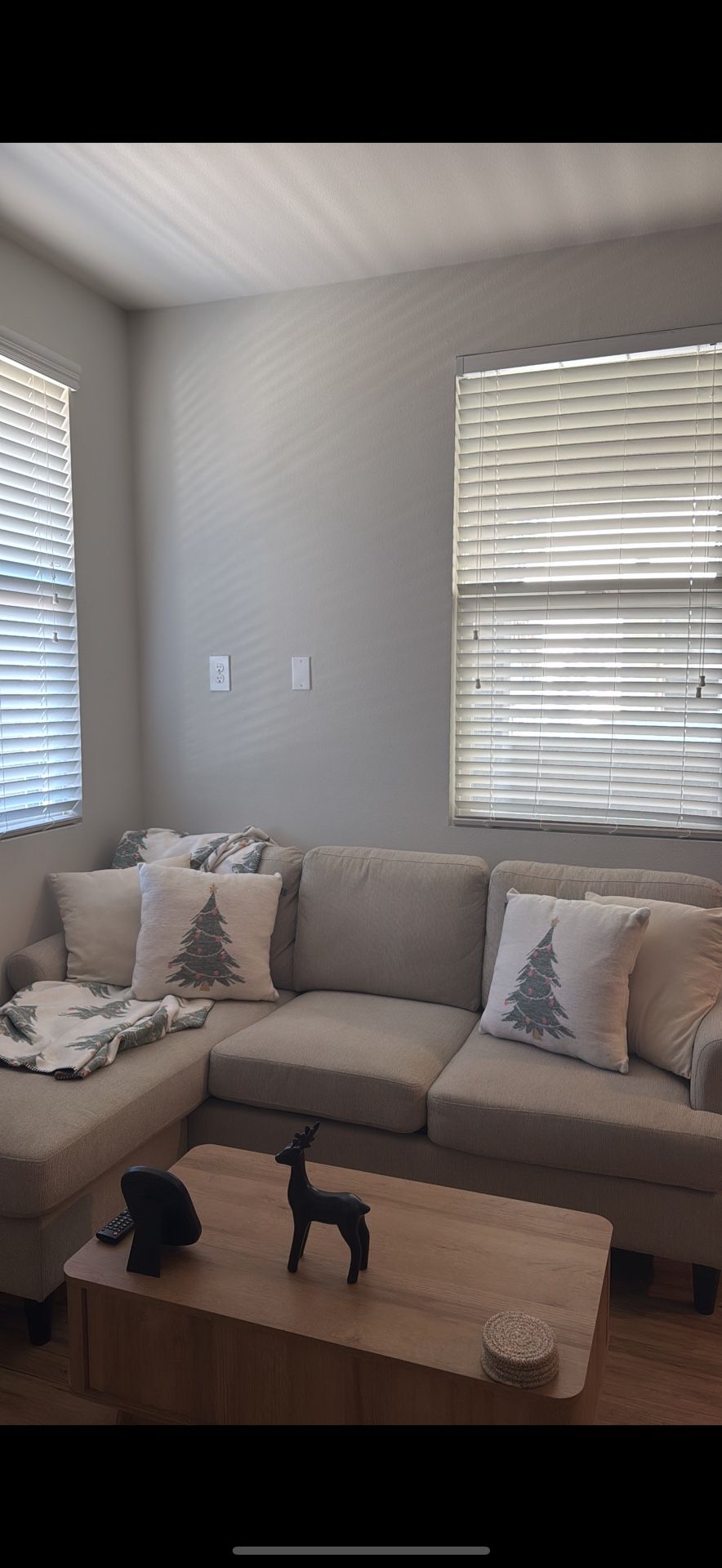 Living Spaces Couch