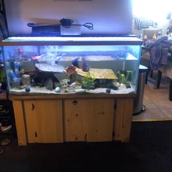 75 Gallon Fish Tank 