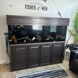 Fish tank