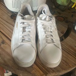 Pumas
