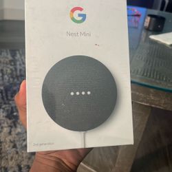 Google Best Mini Second Generation