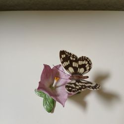 Porcelain Marbled White Butterfly Miniature 