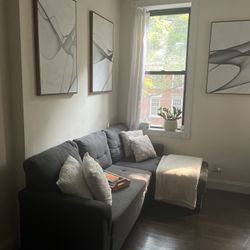 Pull Out Couch
