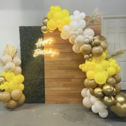 Balloon Decor ✨