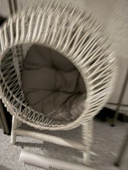 Cat Bed