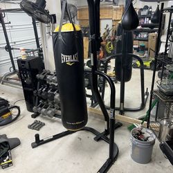 Complete Everlast Dual Station Punching/Speed Bag Stand