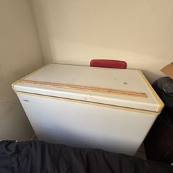 Commercial Floor Freezer 