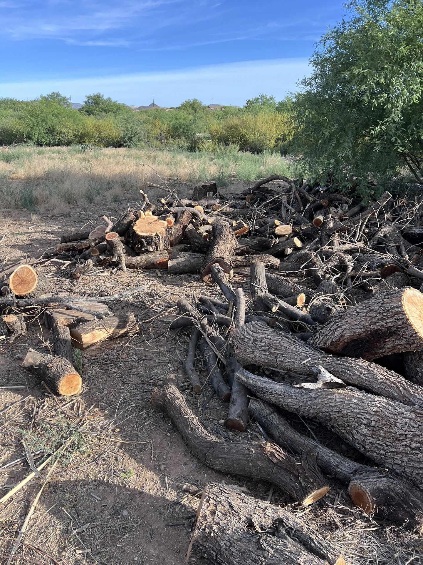 Mesquite Firewood