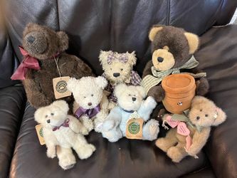 Boyd bears