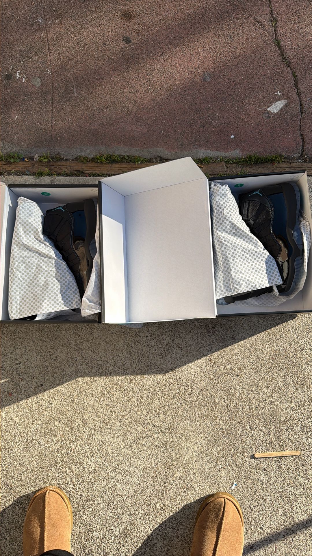 Jordan 11 Retro Gammas