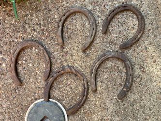 5 vintage horseshoes
