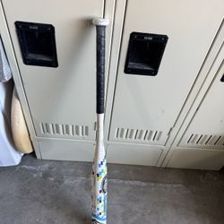 30 Inch Louisville Slugger Quest -12 Bat