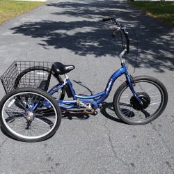 48v 1000 Watt Electric Trike 