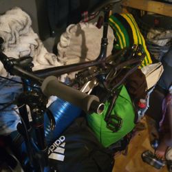 Cannondale  Iso 4210  S. Cammeleon Color