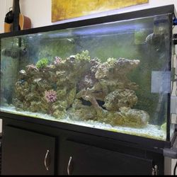  Glass Aquarium Tank, 55 Gallon Marine  