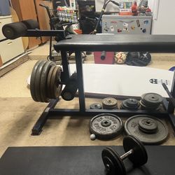 Leg Extension/ Leg Curl