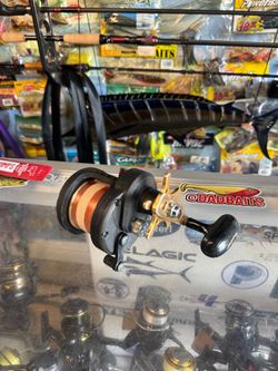 Murrieta Daiwa Saltist 35h with new 50lb braid and 30lb top.