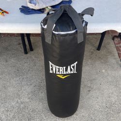 Punching Bag 