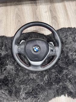 BMW F-Chasis Steering Wheel