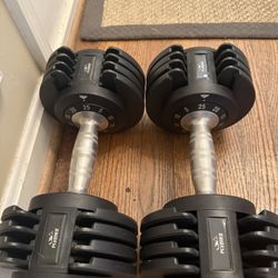 Flybitd Adjustable 25lb Dumbbells