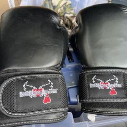 Century Kickboxing 12 oz Med. Boxing/Sparring Gloves …