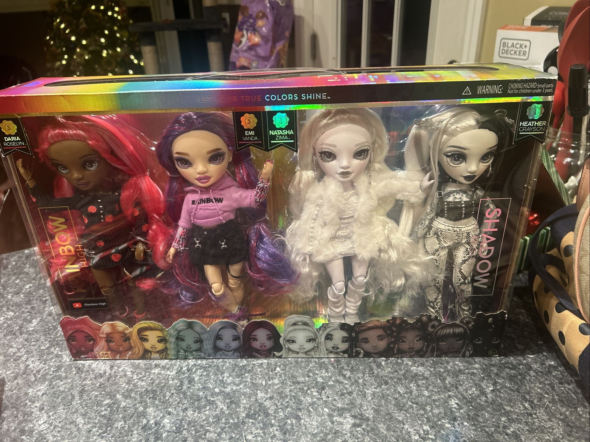 Rainbow High Doll Set New