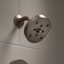 Delta Brushed Nickel Shower head 