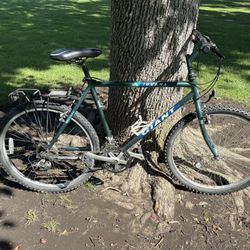 1995 Giant Iguana