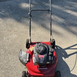 Murray 22” Push Mower W Briggs & Stratton 450E