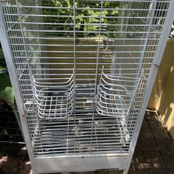 Bird Cage Or Lizard Cage 