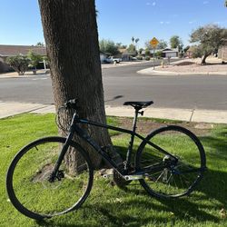 Trek FX2 w/ Trek Solstice Helmet