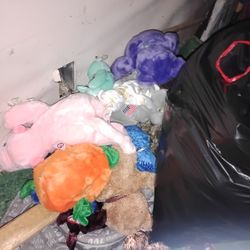 Beanie Babies 