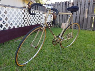 Leader 29" Vintage, 12 Speed Bicycle