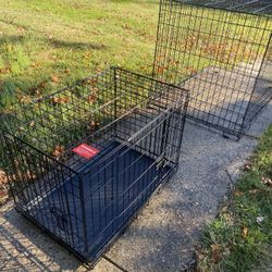 Dog Kennels