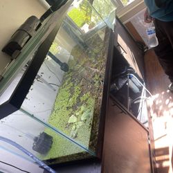 Fish Tank And Stand