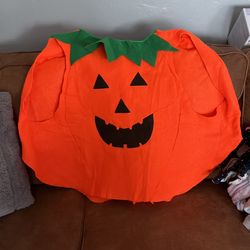 Adult, pumpkin costume