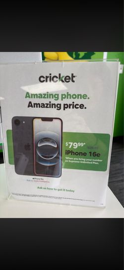 Cricket