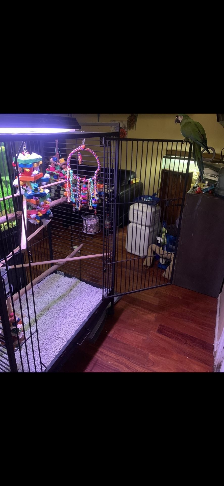 Large- Parrot Cage
