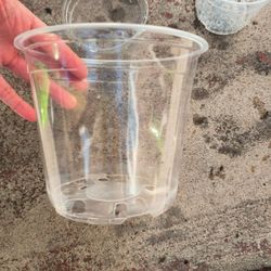 Clear Nursery Plant Pots 
