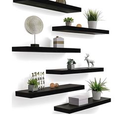 Shelves New