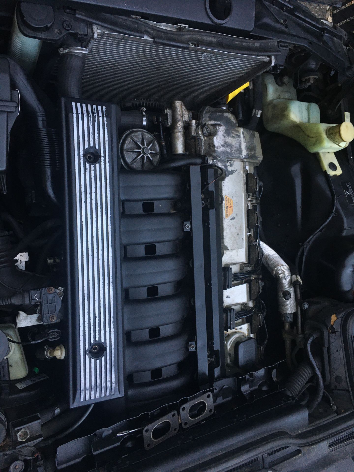 BMW Engine