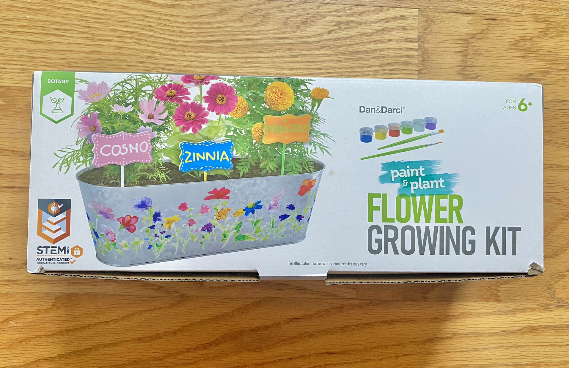 Dan & Darci Paint & Plant Flower Craft Kit for Kids - New