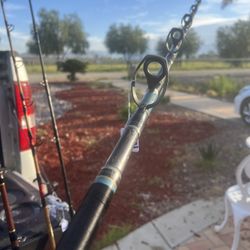 Penn Fishing Rod