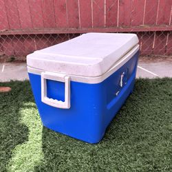 Ice cooler