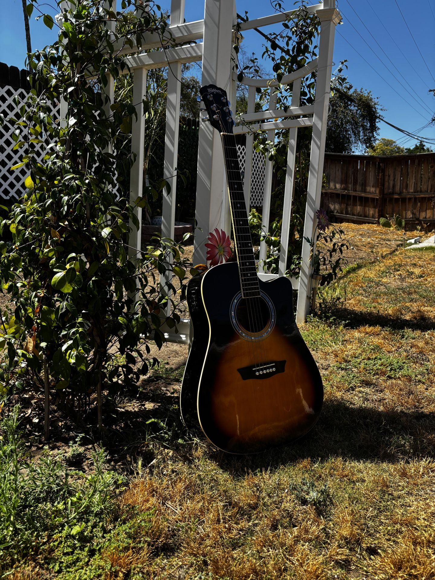 6 String Guitar